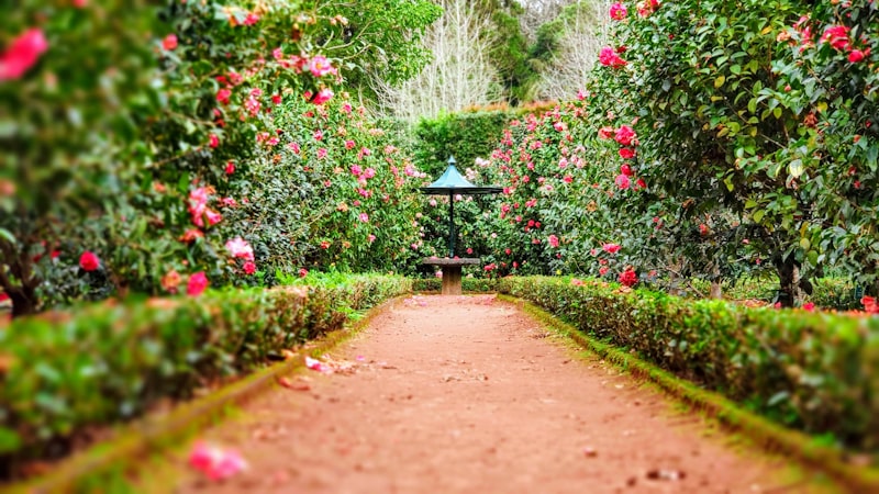 Leading Garden Centre