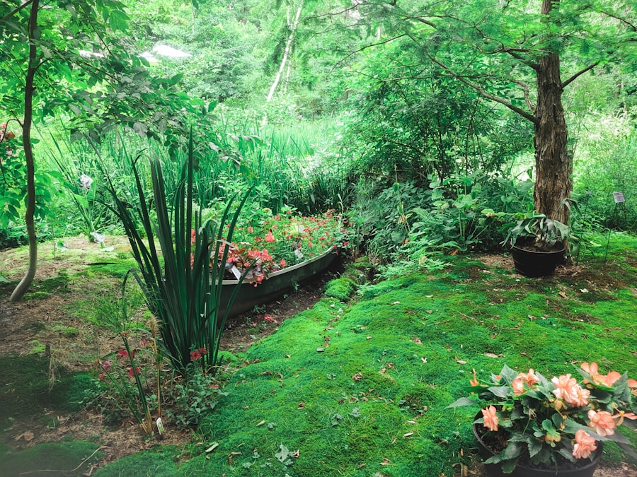 Landscaping & Design